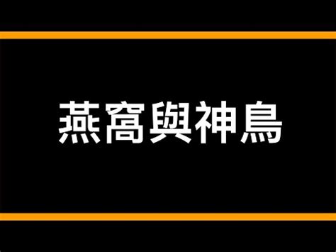 撿到燕子代表什麼|燕子的象徵意義